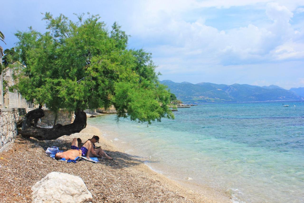 Apartments By The Sea Orebic, Peljesac - 4496 Bagian luar foto