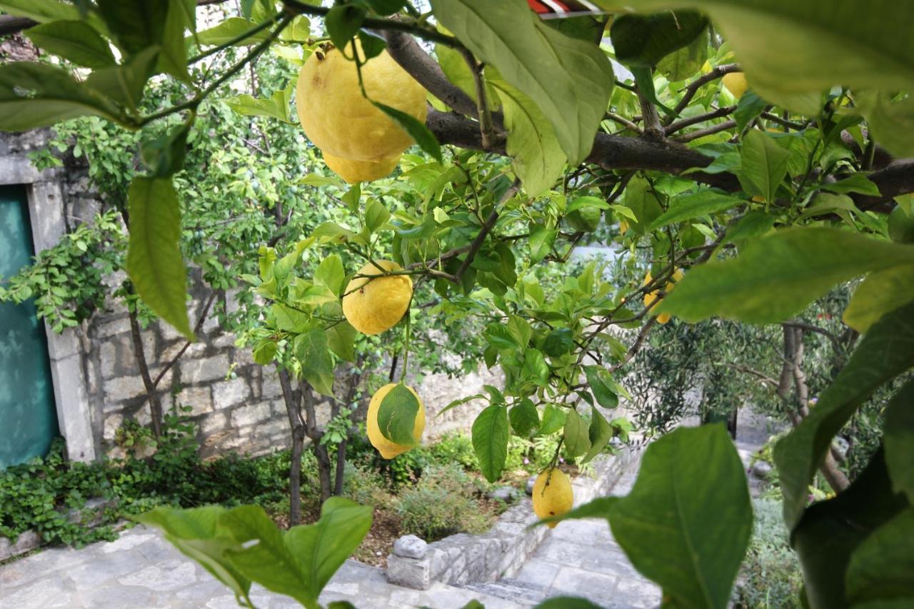 Apartments By The Sea Orebic, Peljesac - 4496 Bagian luar foto
